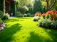 gartengestaltung-tv-bewerbung-mit-kreativen-ideen-deinen-garten-ins-rampenlicht-stellen